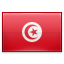 Registrera .تونس domännamn / Domänregistrering .تونس domän