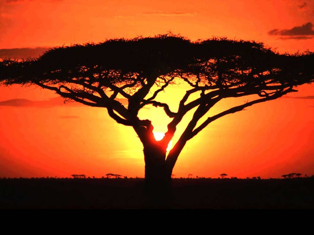 .AFRICA domäner kommer i maj