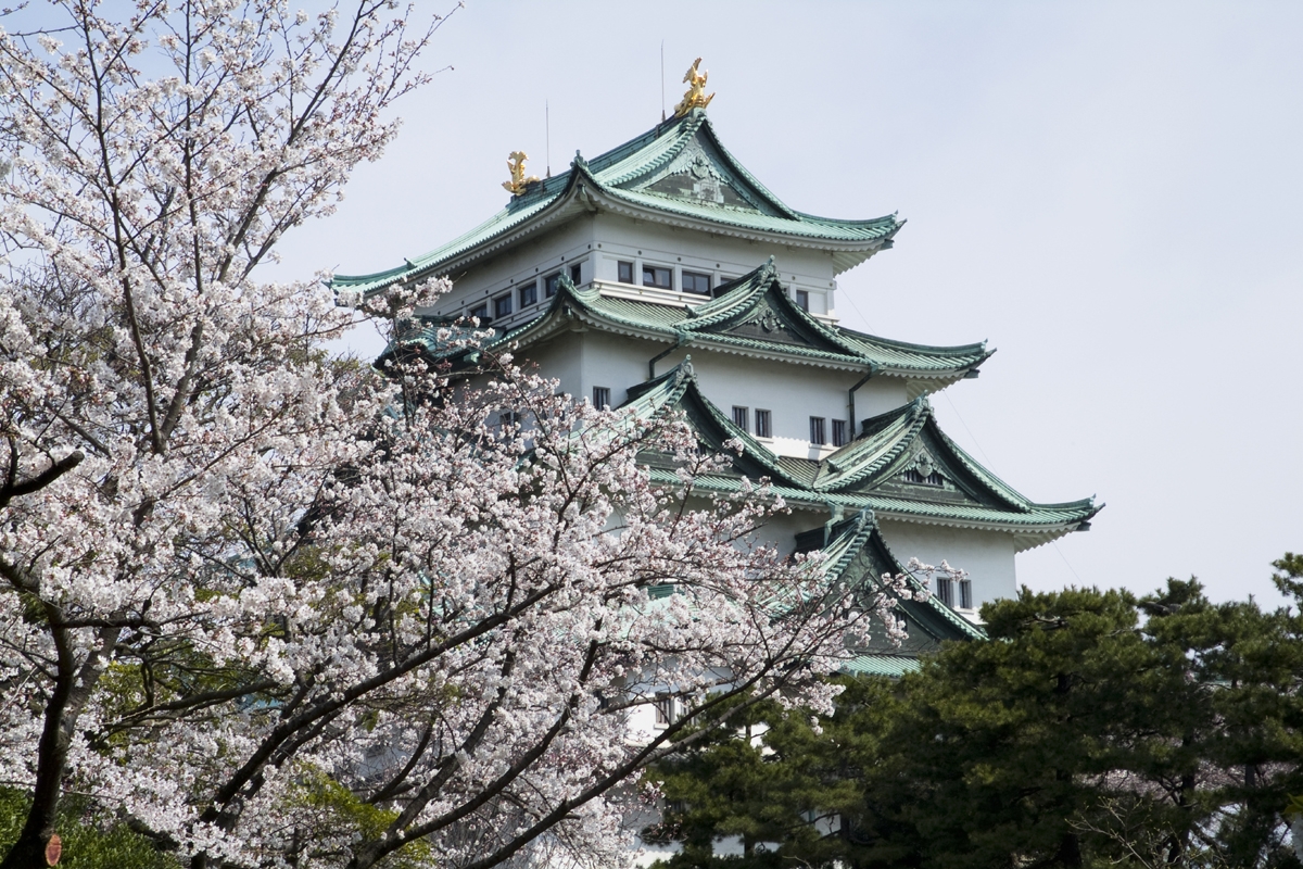Registrera .NAGOYA domäner
