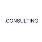 .CONSULTING domäner