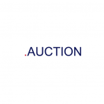 .AUCTION domäner