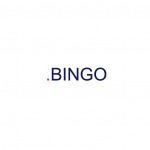 .BINGO domäner