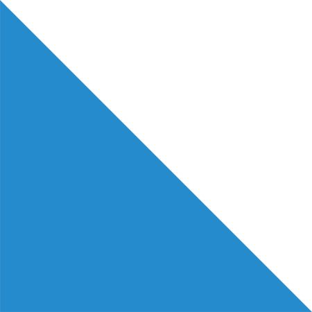 .ZUERICH domäner
